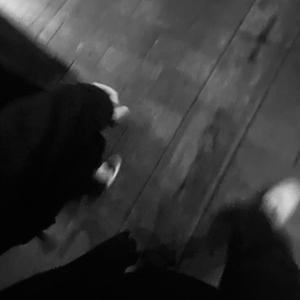 成人🍆🍑🔞猛撞在线观看
